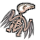 birdskeleton