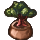 bonsai