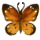 butterflymonarch