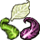 cabbageleaf