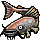catfish