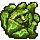 curiouscabbage