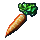 herbs/carrot