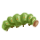 herbs/caterpillar