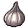 herbs/domgarlic