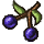 herbs/huckleberry