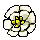 herbs/mayapple