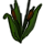 herbs/reeds