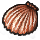 herbs/seashell