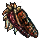 indiancorn
