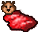 rawbearcut