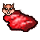 rawsquirrelcut