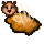 roastbearcut