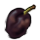 rottenplum