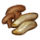shellshrooms