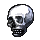 skull
