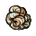 wool