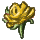 yellowrose